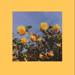 Meet your Posher, Mallory